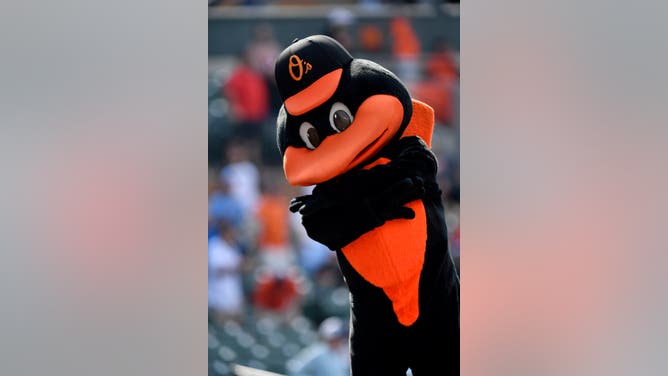 MLB mascot Baltimore Orioles