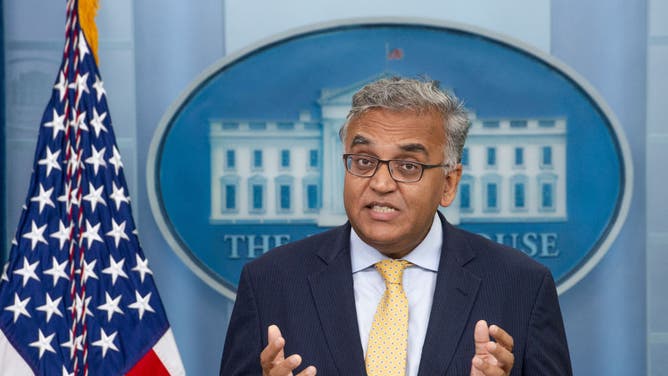 White House COVID czar