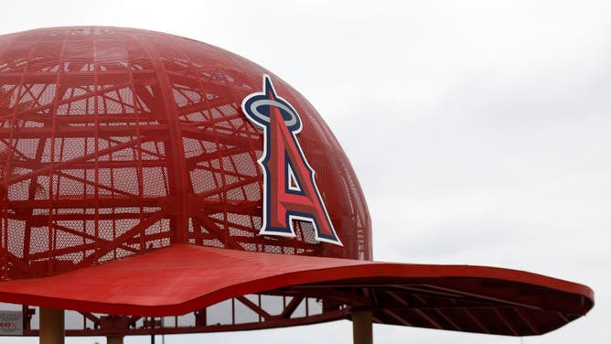 Fan Sues Angels After Being Blinded By Baseball Thrown Into Stands