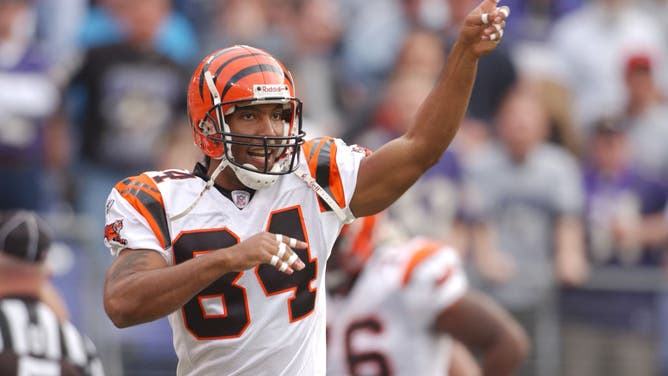 TJ Houshmandzadeh Files Restraining Order Against Obsessed Fan Who Took His Name