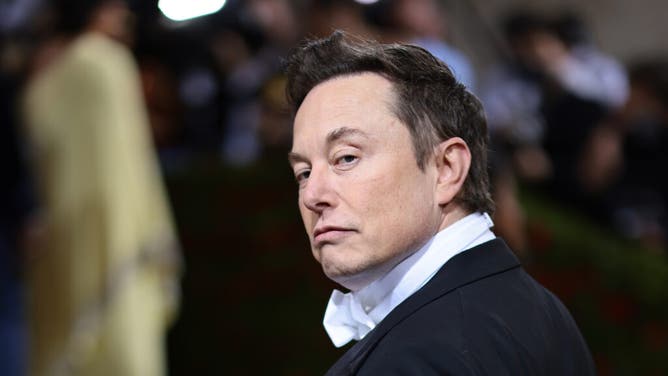 Elon Musk, new Twitter owner