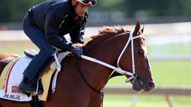 Kentucky Derby winner Mage goes over the track during a training session ahead of the 148th Running of the Preakness Stakes at Pimlico Race Course.