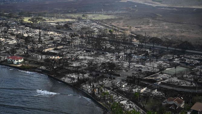 Former UFC Champ B.J. Penn Blasts Government Response To Maui Wildfire