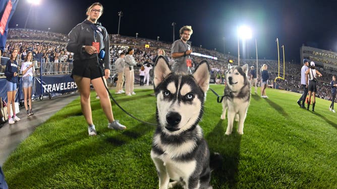 UConn Huskies mascot Jonathan the Husky during the game as the NC State Wolfpack at the Rentschler Field in East Hartford, Connecticut.