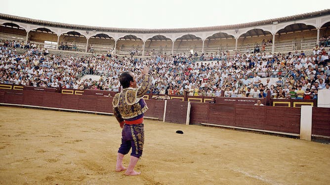 fbc6dcda-Spain, bullfighter in ring, waving at spectators, rear view