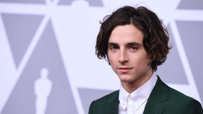 Actor Timothée Chalamet stars as a cannibal in 'Bones and All'