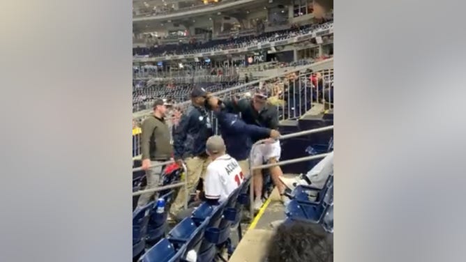 Fan punches usher at Nationals game.