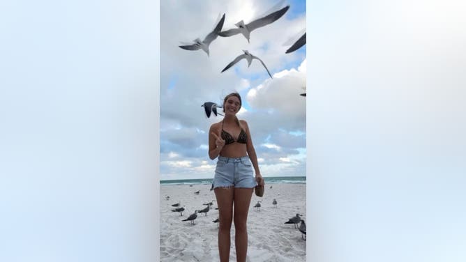 Influencer Lele Pons Seagull Bikini