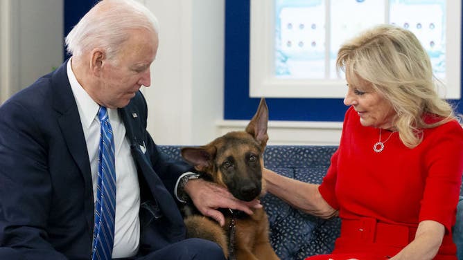 President Biden Meets Virtually With U.S. Service Members On Christmas Day