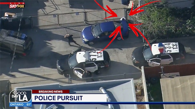 LAPD goes wrong way police chase