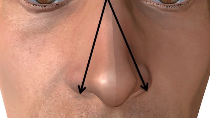 Nose size bigger penis research