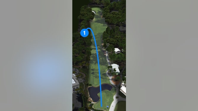 Cam Young's tee shot on the first hole at the RBC Heritage did not go as planned.