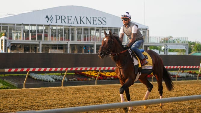 Preakness Stakes contender Blazing Sevens trains Tuesday morning at Pimlico Race Track.