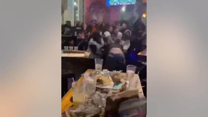 Bengals Fans Wild Brawl Bar Fight SWAT Team