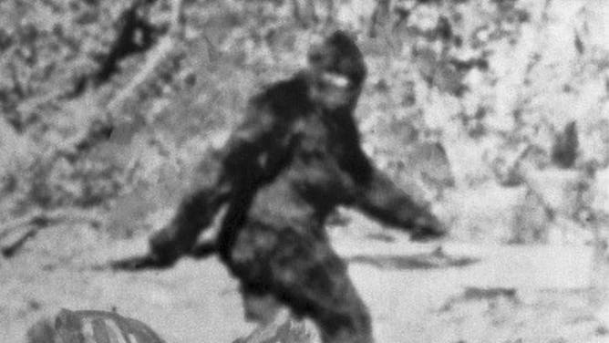 Bigfoot sighted in South Carolina? (Credit: Getty Images)
