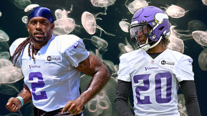 minnesota-vikings-training-camp-preview-nfl-2023-riddle-viral-tiktok-math-jellyfish