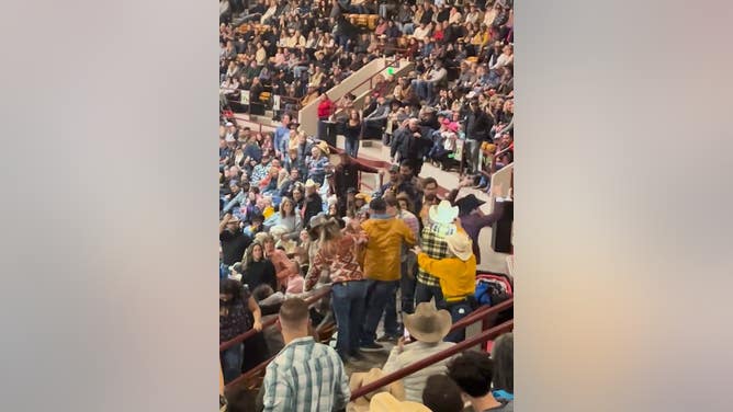 Sport Coat Wearing Cowboy At The Rodeo Drops Two Guys During A Fight
