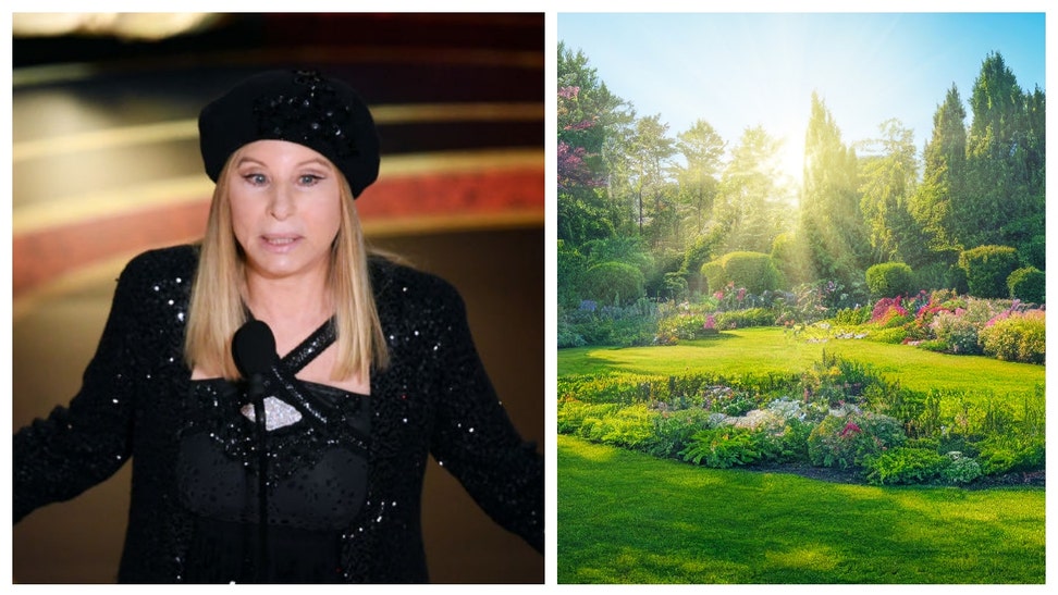 Latest Barbra Streisand News Rumors And Articles By OutKick   BARBRA STREISAND 