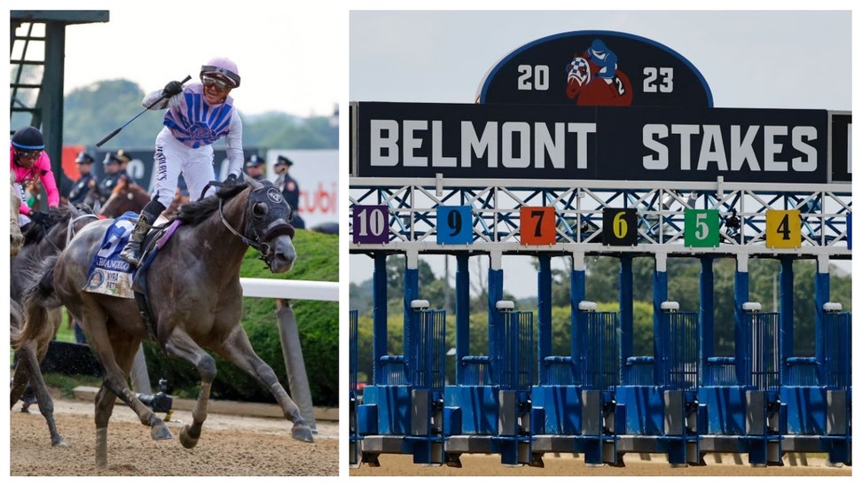 BELMONT STAKES HORSE RACING