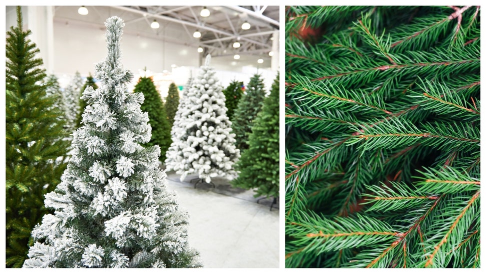 FAKE AND REAL CHRISTMAS TREES