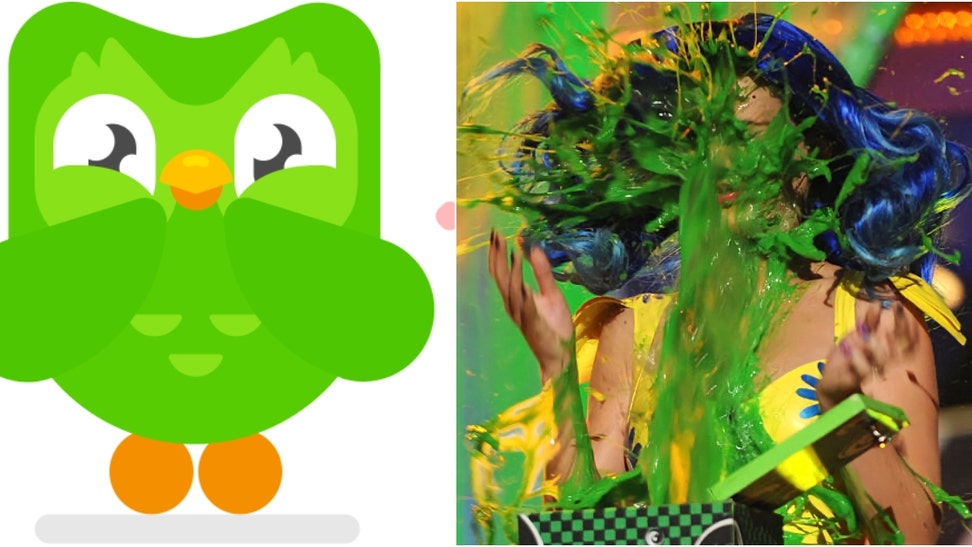 Duolingo Owl and Katy Perry getting slimed