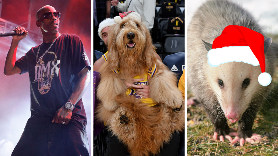 Goldendoodle Takes In A Lakers Game, DMX's Son Gives A Birthday Tribute & A Possum In A Pear Tree