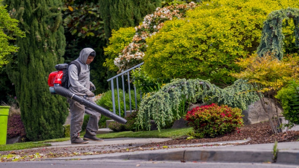 POWERED LEAF BLOWERS