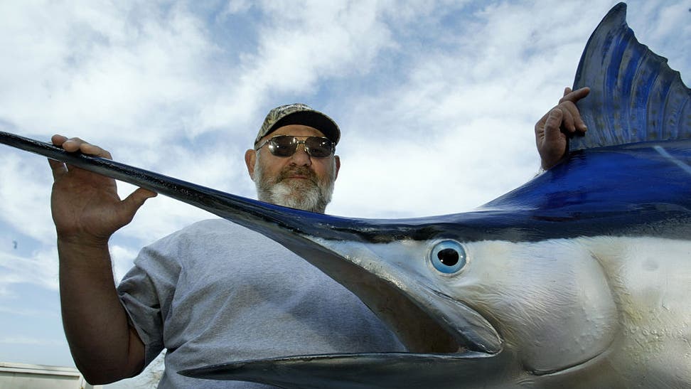 North Carolina Blue Marlin Fishing Tournament Ends In Controversy After 619-Pound Catch Is Disqualified