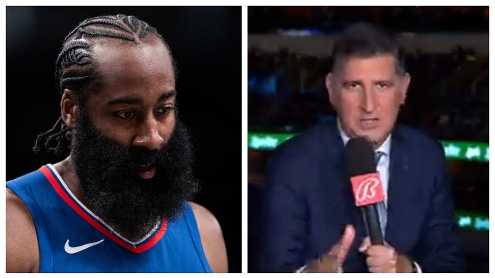 james harden brian dameris