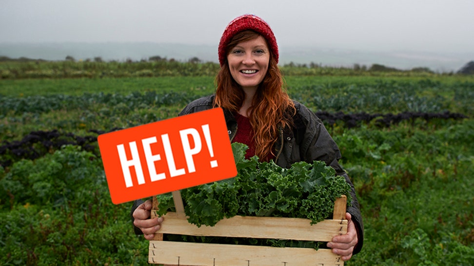 9221b147-Portrait of woman holding box of kale on farm.