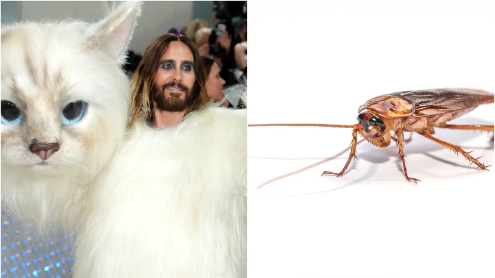 Jared Leto and Cockroach