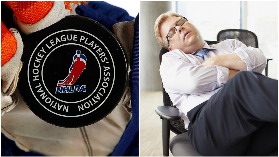 NHLPA Guy Sleeping