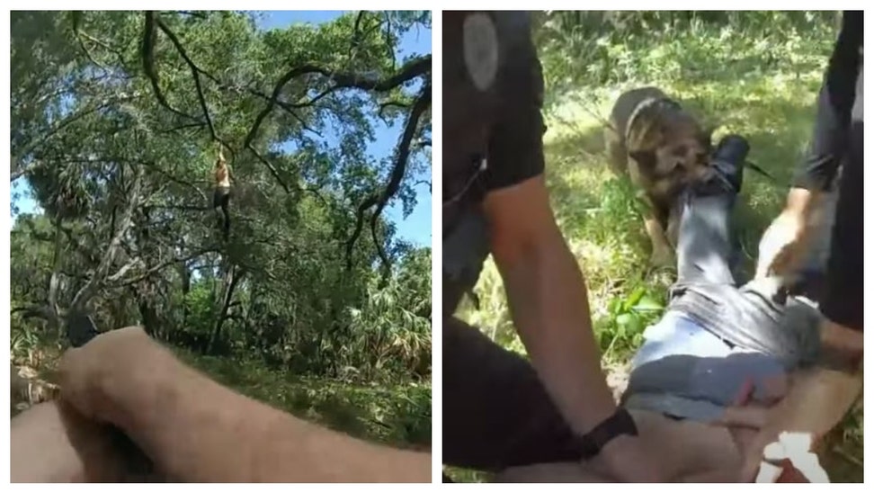 Shirtless Man Attempts To Flee From The Police By Swinging From Tree Branches Like 'Tarzan'