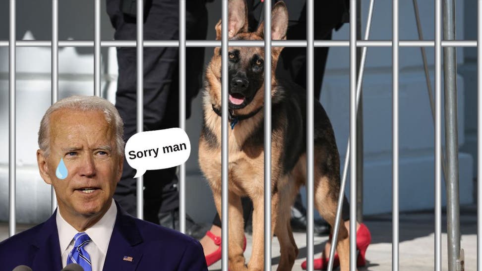 biden 2