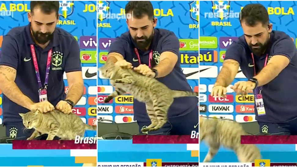 Guy Throws Cat Off Table During Vinicius Jr's Press Conference: Video