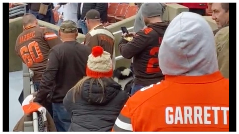 Skunk On The Loose At Cleveland Browns Game