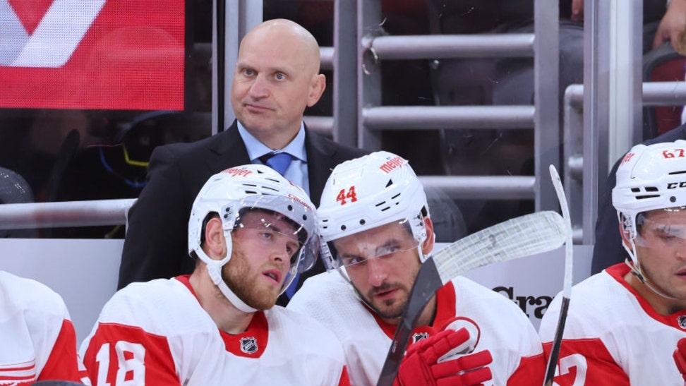 Red Wings head coach Derek Lalonde