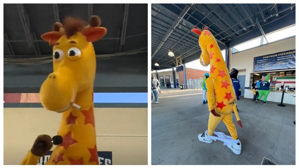 Toys R Us Giraffe Geoffrey.