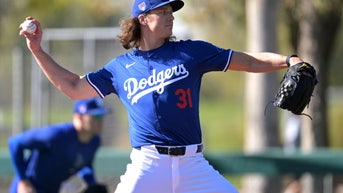 MLB Jerseys Nike Fanatics