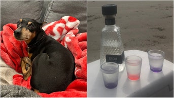 Read the OutKick Weekend Recap for February 24-25. The recap includes plenty of alcohol, heart-warming dog content and much more! (Credit: OutKick reader and David Hookstead)