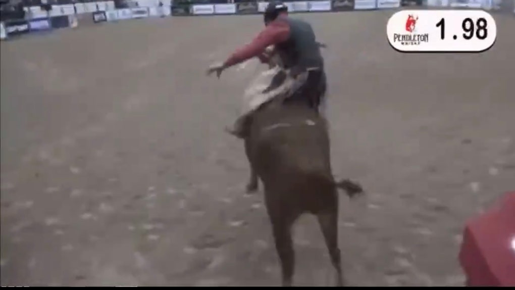 Barry Odom rode a bull named 'widowmaker' to raise money for the UNLV football program