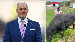 NFL Draft Prospect Cade Stover Is Massaging Cows, And Rich Eisen Can't Get Enough