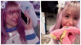 Twitch Streamer Meow Dalyn Identifies As A Dog, Has Handlers & Sleeps In A Crate