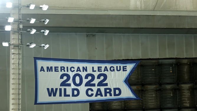 Tampa Bay Rays banner
