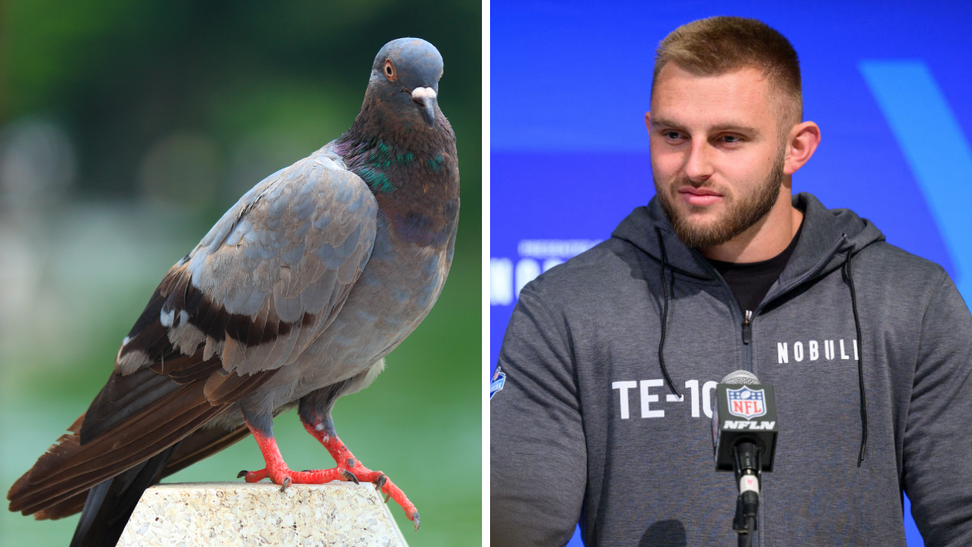 Former Illinois TE Tip Reiman Doesn't Believe In Birds