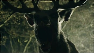 "Bambi: The Reckoning" trailer released. (Credit: Screenshot/YouTube video https://www.youtube.com/watch?v=9T5kwqE363c)