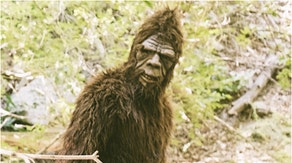 Couple shares details of alleged Bigfoot sighting. (Credit: Getty Images)
