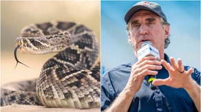 North Dakota Governor Doug Burgum has no problem killing snakes. Watch a video of him explaining how to properly kill a rattlesnake if you don't have a weapon. (Credit: Getty Images)