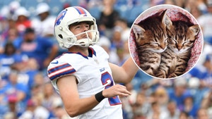 Buffalo Bills Kicker Tyler Bass Raises $400K For Kitten Adoption Center