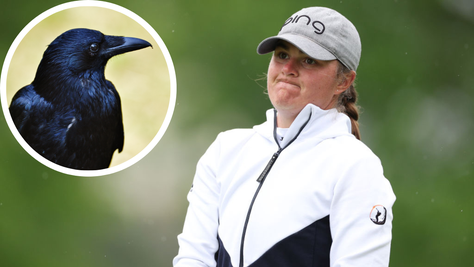 RIP To the Bird Isi Gabsa Hit With A Golf Ball At U.S. Women's Open